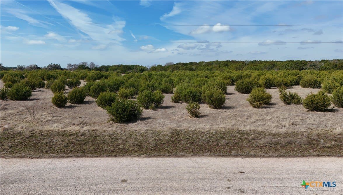 10 acres in Burnet County - photo 3