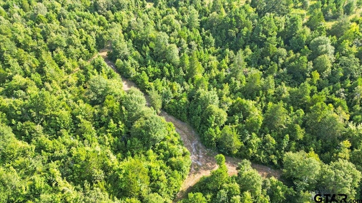 32 acres in Upshur County - photo 18
