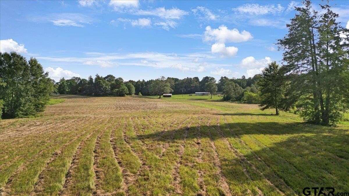 32 acres in Upshur County - photo 9