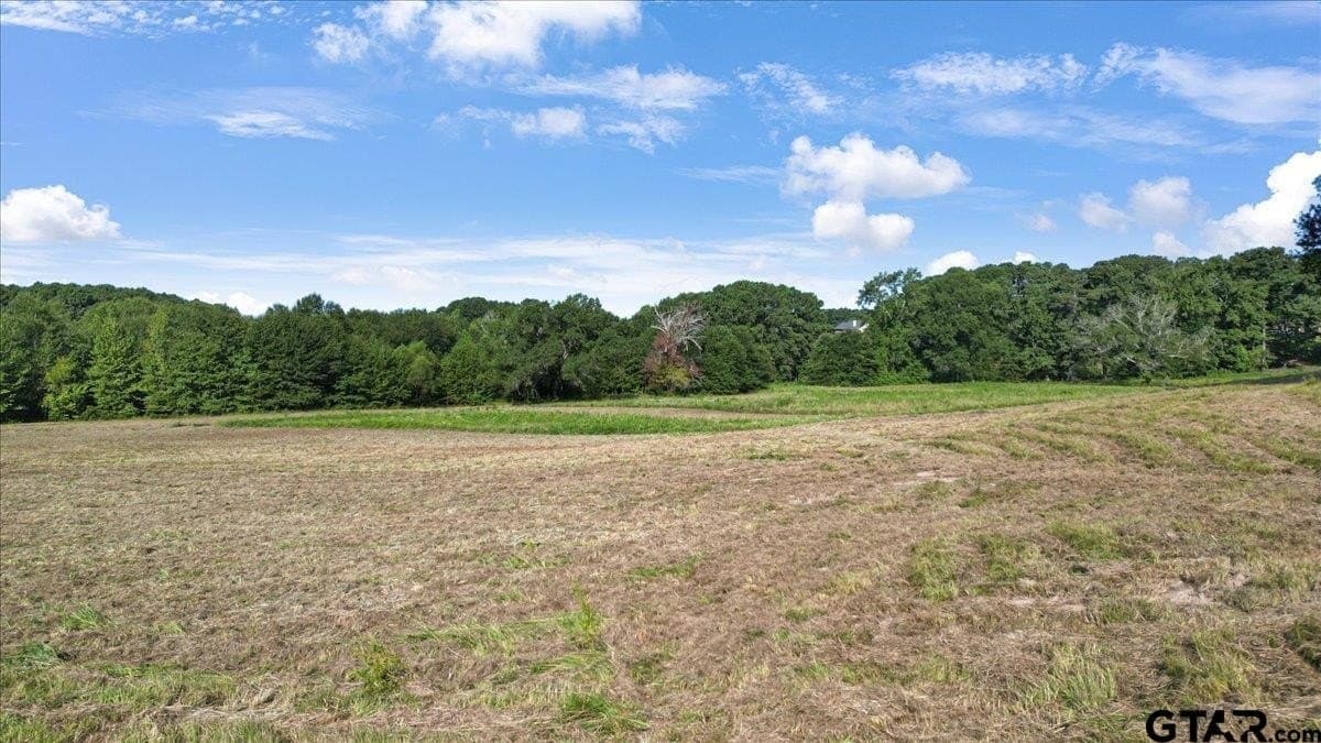 32 acres in Upshur County - photo 7