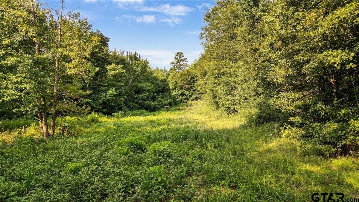 32 acres in Upshur County - photo 11