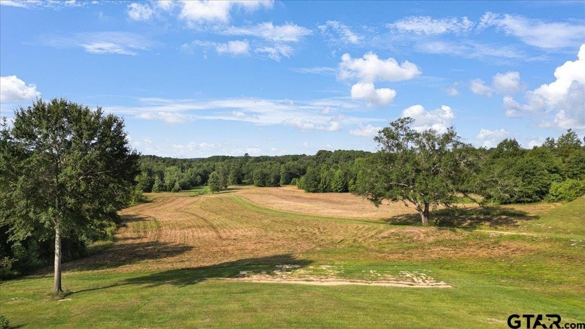 32 acres in Upshur County - photo 13