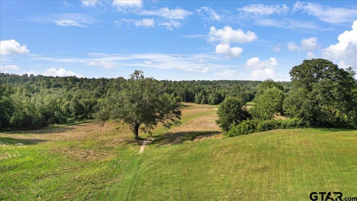 32 acres in Upshur County - photo 14