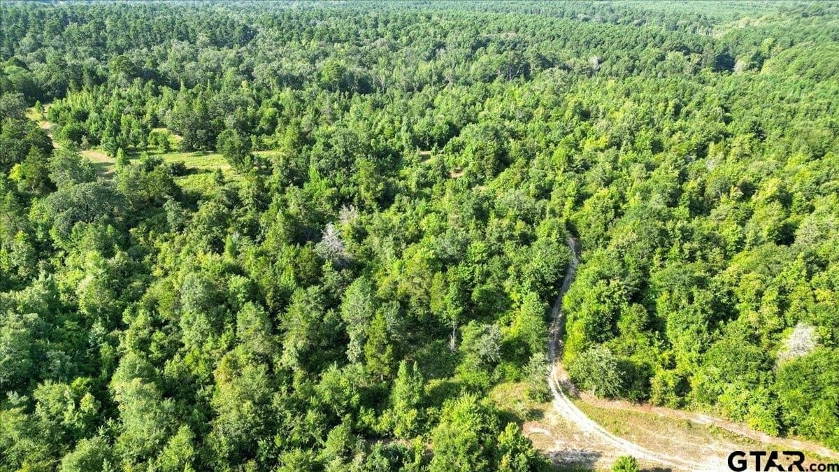 32 acres in Upshur County - photo 16