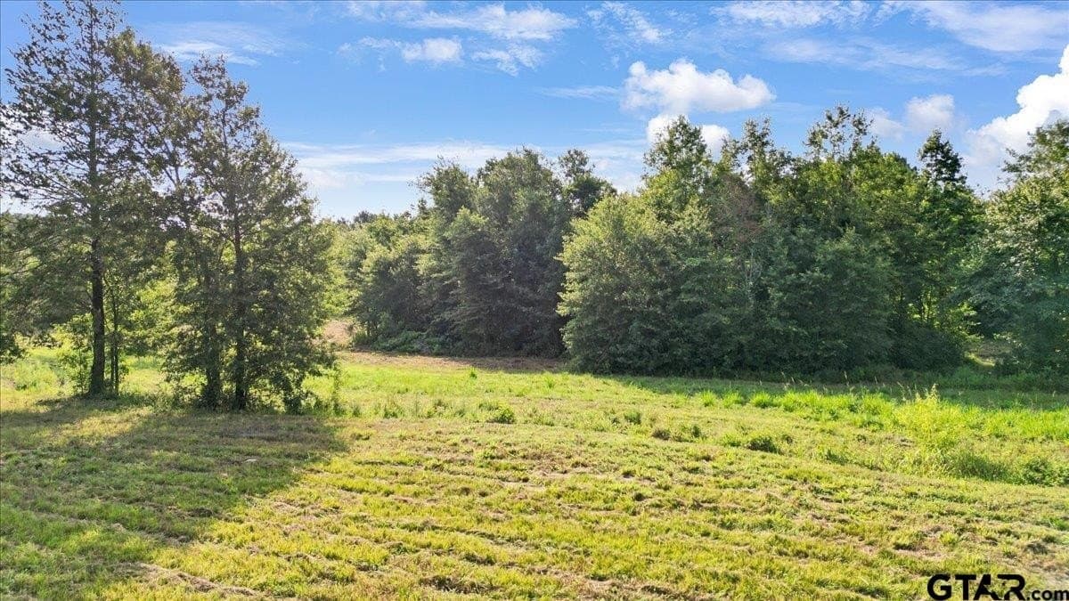 32 acres in Upshur County - photo 10