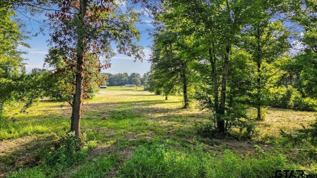 32 acres in Upshur County - photo 12