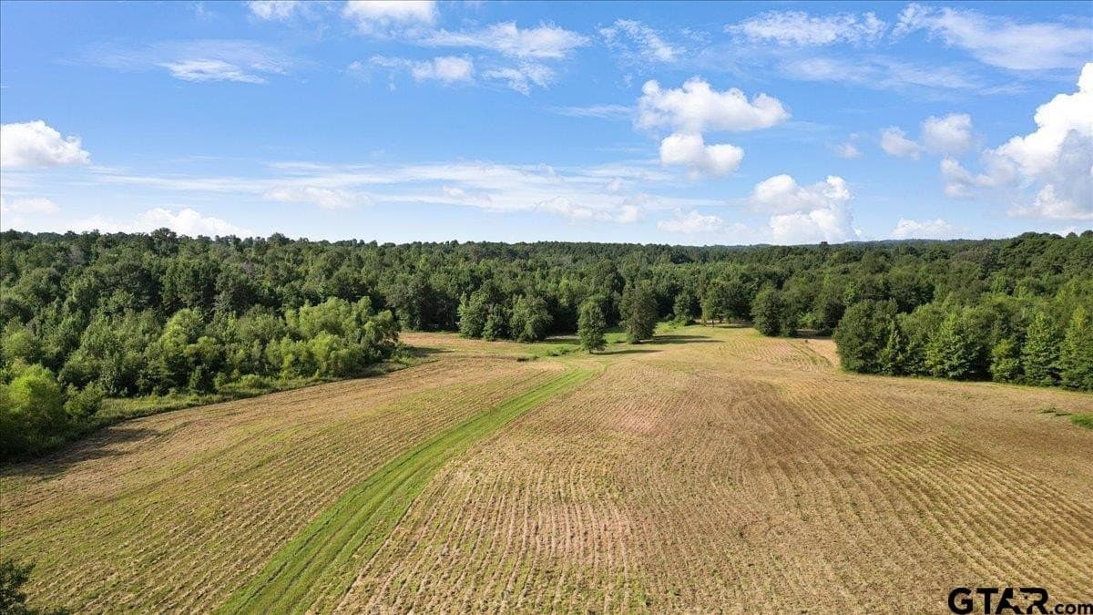 32 acres in Upshur County - photo 15