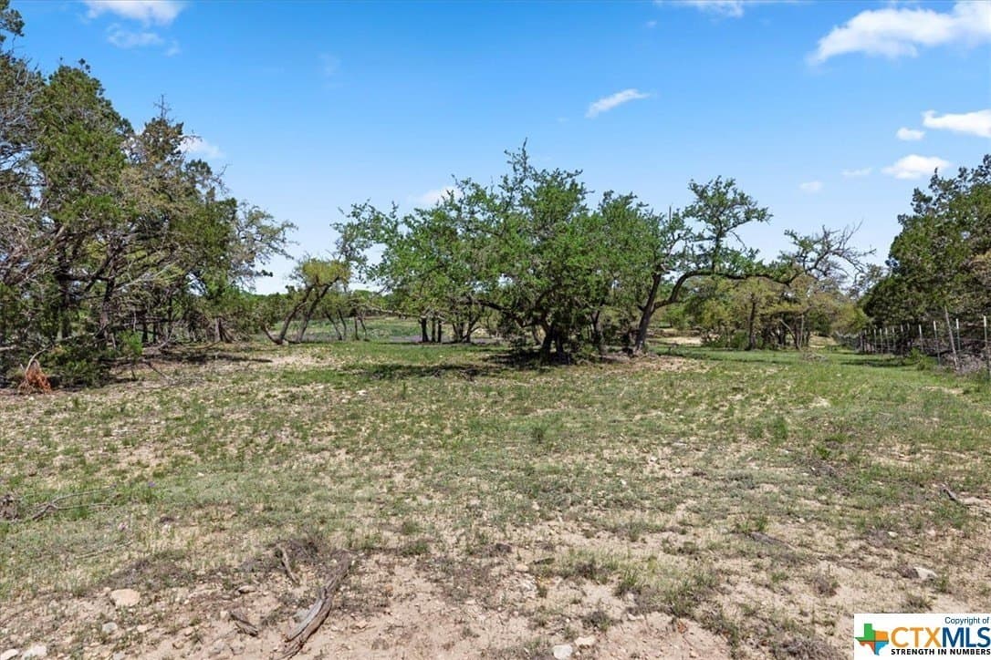 8.14 acres in Hays County - photo 9