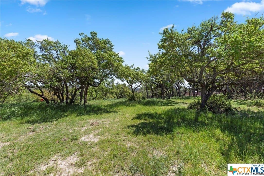 8.14 acres in Hays County - photo 4