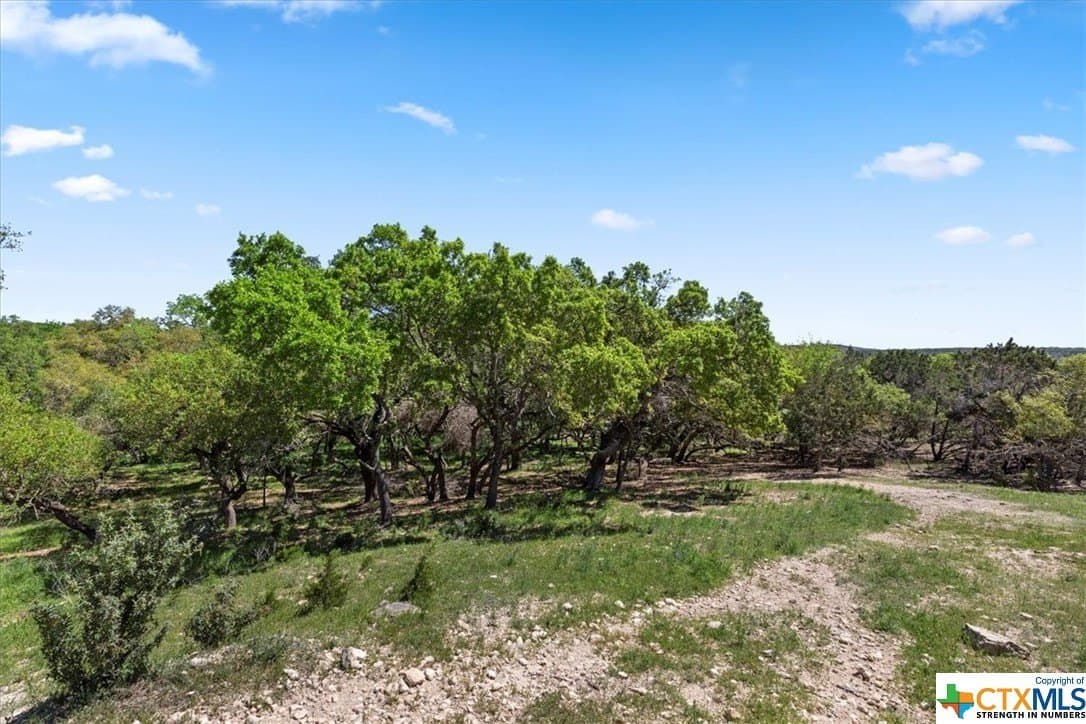 8.14 acres in Hays County - photo 8