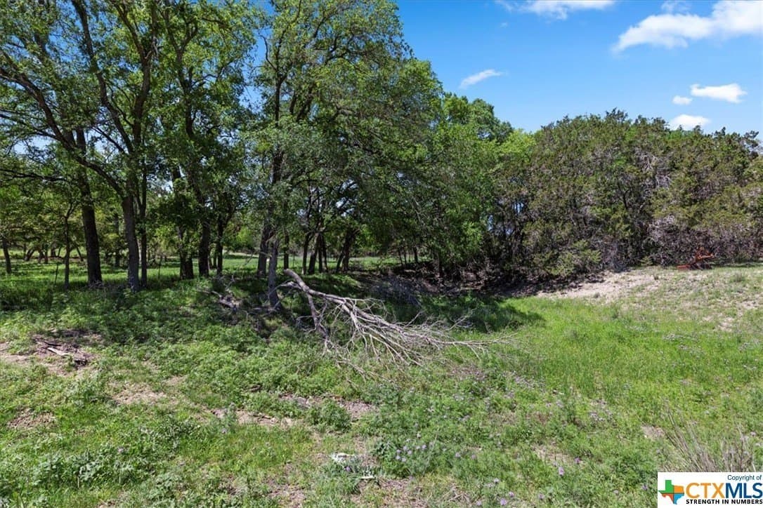 8.14 acres in Hays County - photo 24