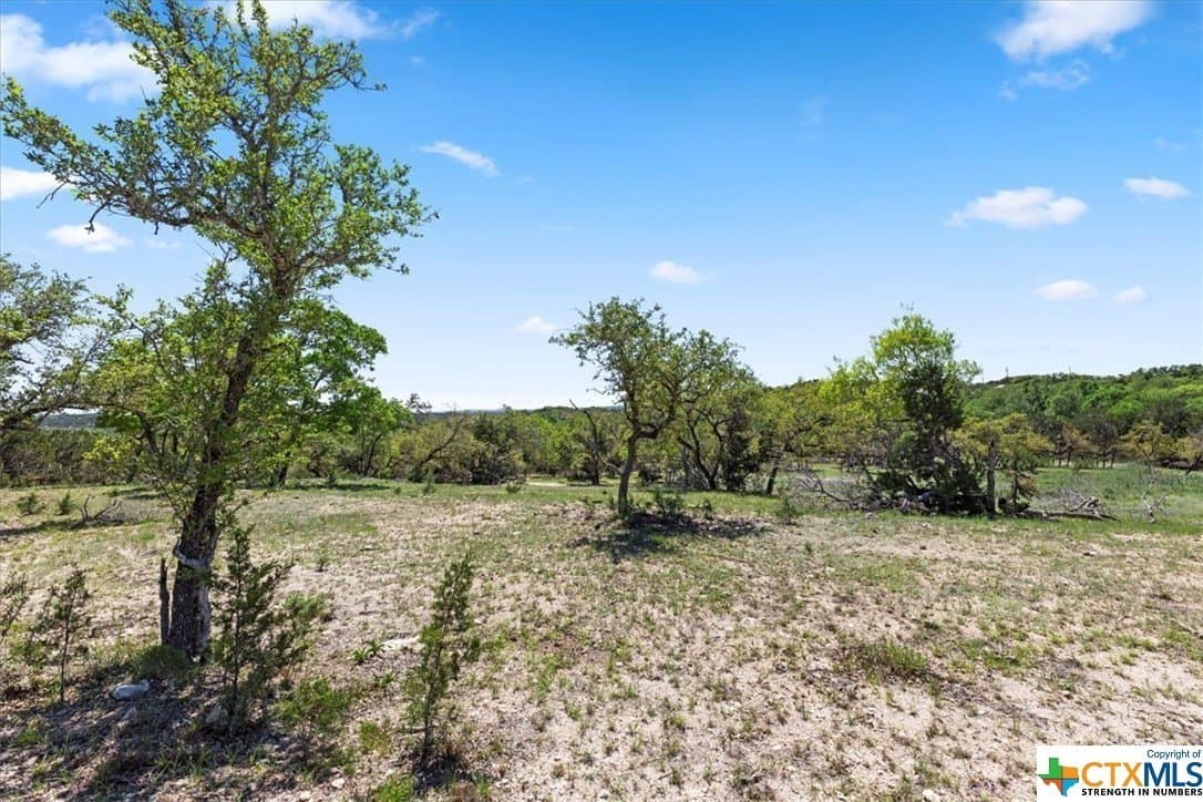 8.14 acres in Hays County - photo 27