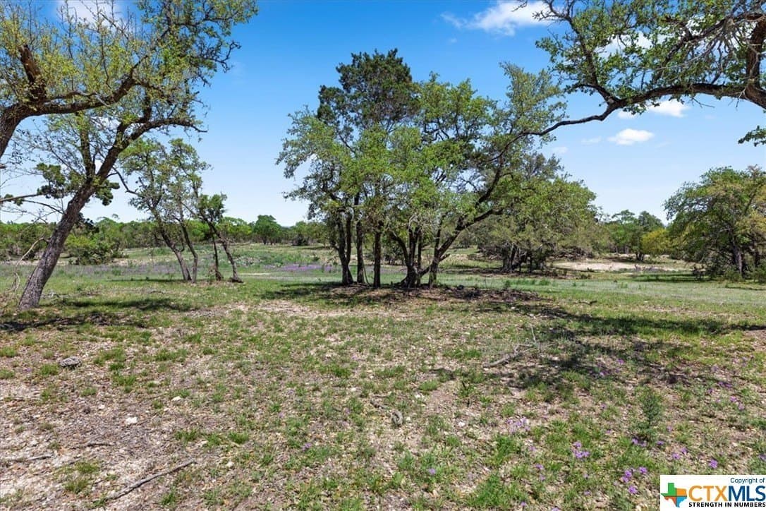 8.14 acres in Hays County - photo 13