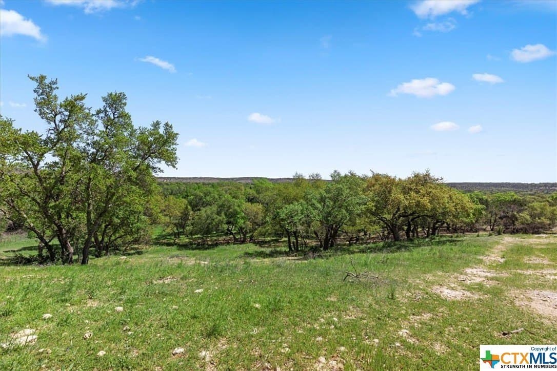 8.14 acres in Hays County - photo 5