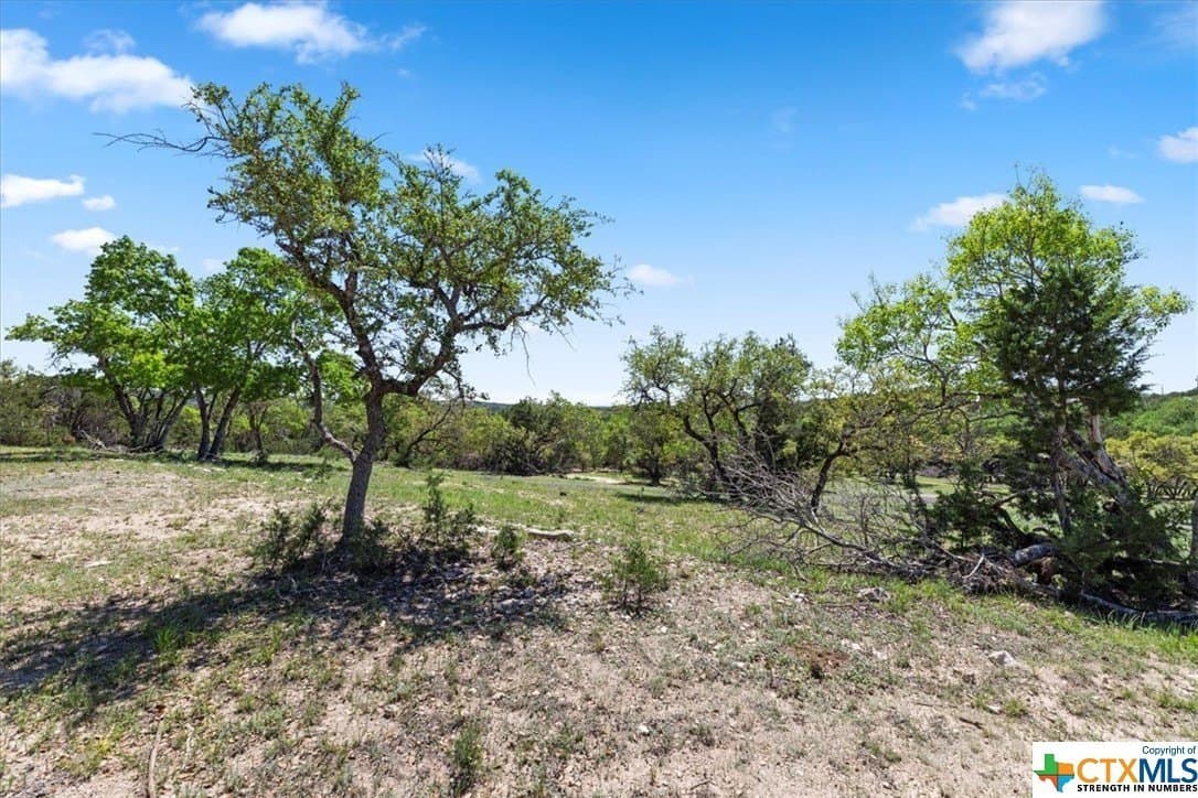 8.14 acres in Hays County - photo 15