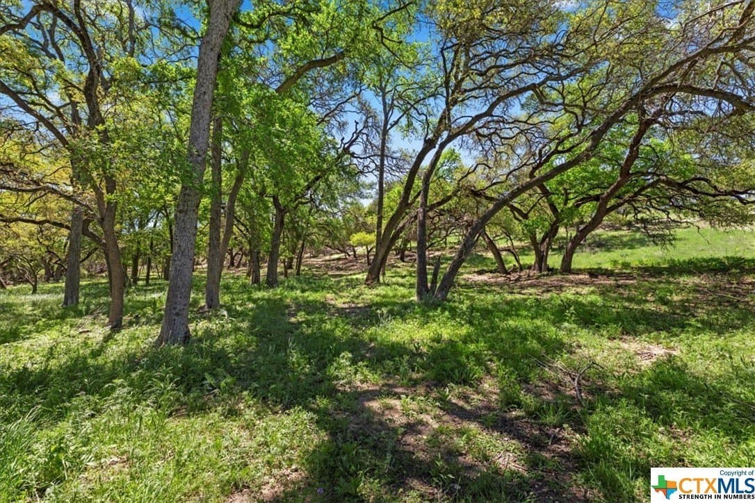 8.14 acres in Hays County - photo 10
