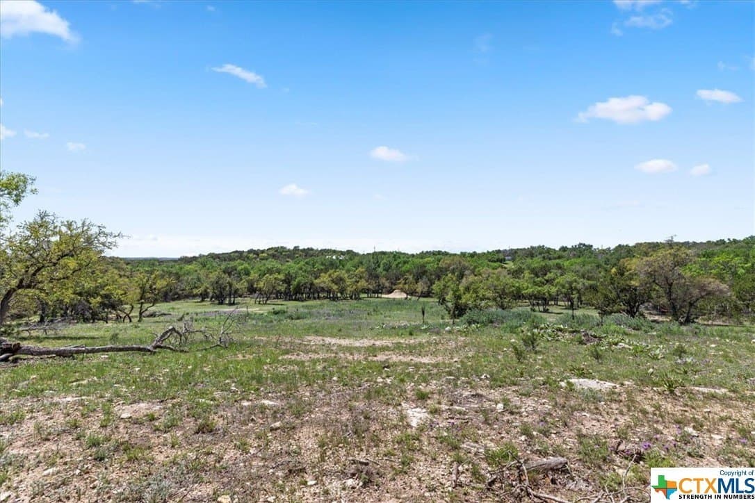 8.14 acres in Hays County - photo 11