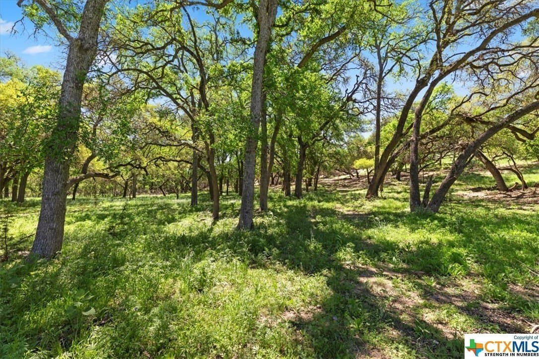 8.14 acres in Hays County - photo 12