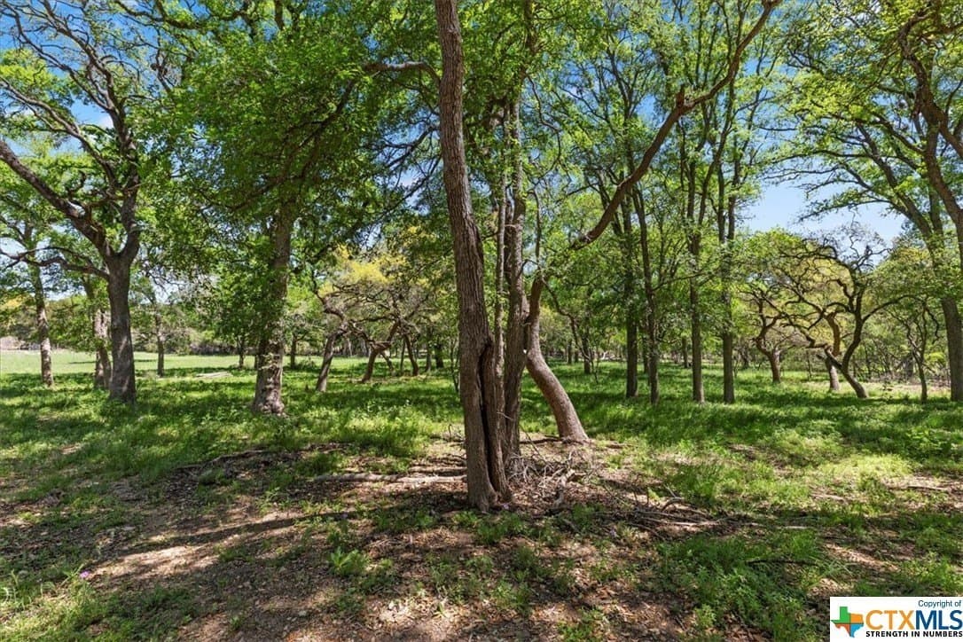 8.14 acres in Hays County - photo 7
