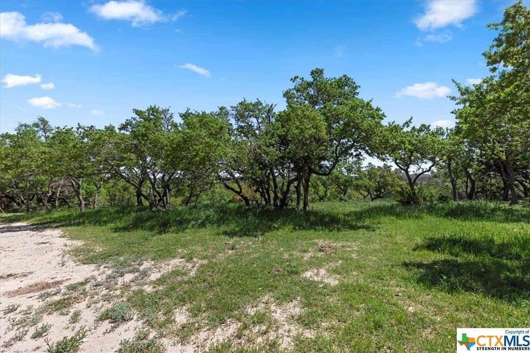 8.14 acres in Hays County - photo 6