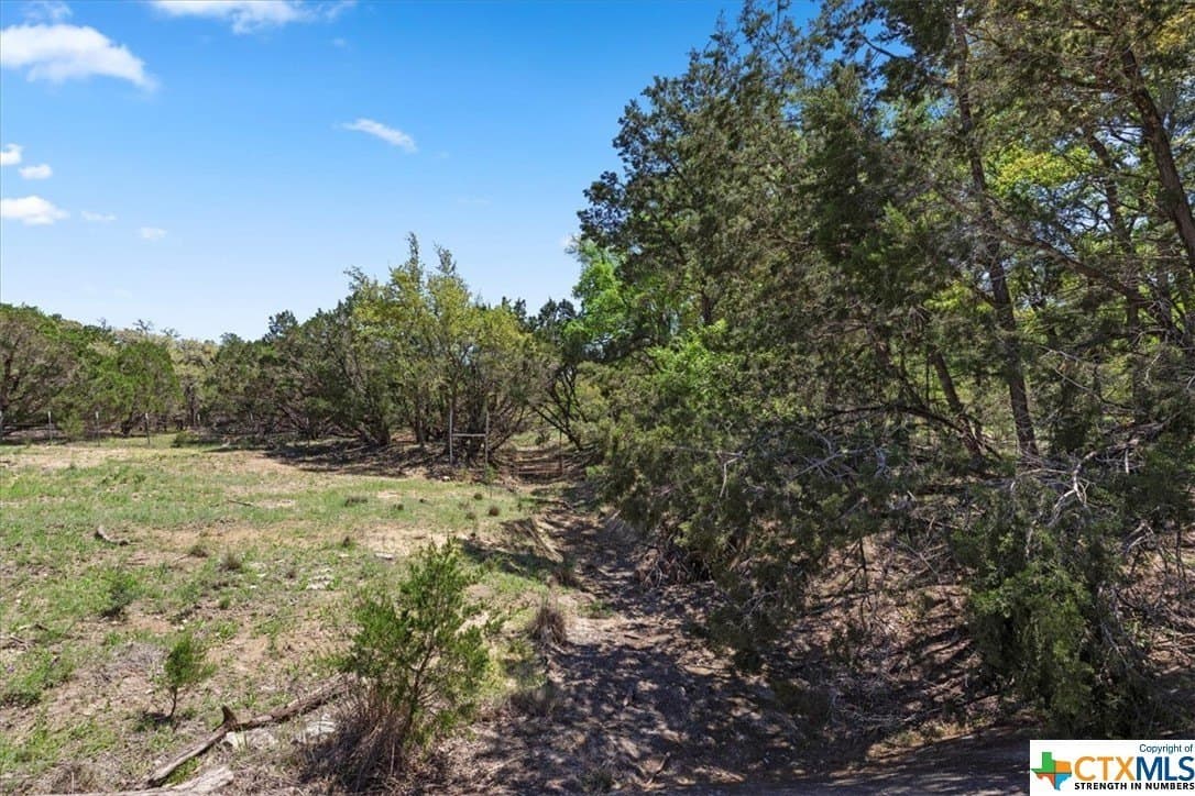 8.14 acres in Hays County - photo 18