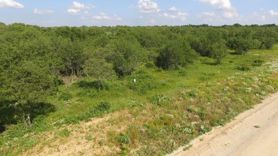 5.03 acres in Palo Pinto County - photo 14