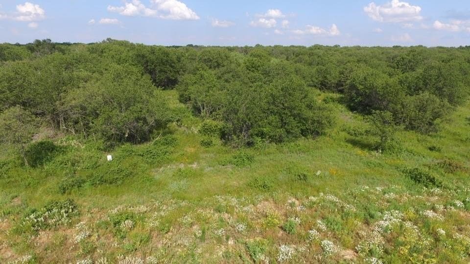 5.03 acres in Palo Pinto County - photo 12
