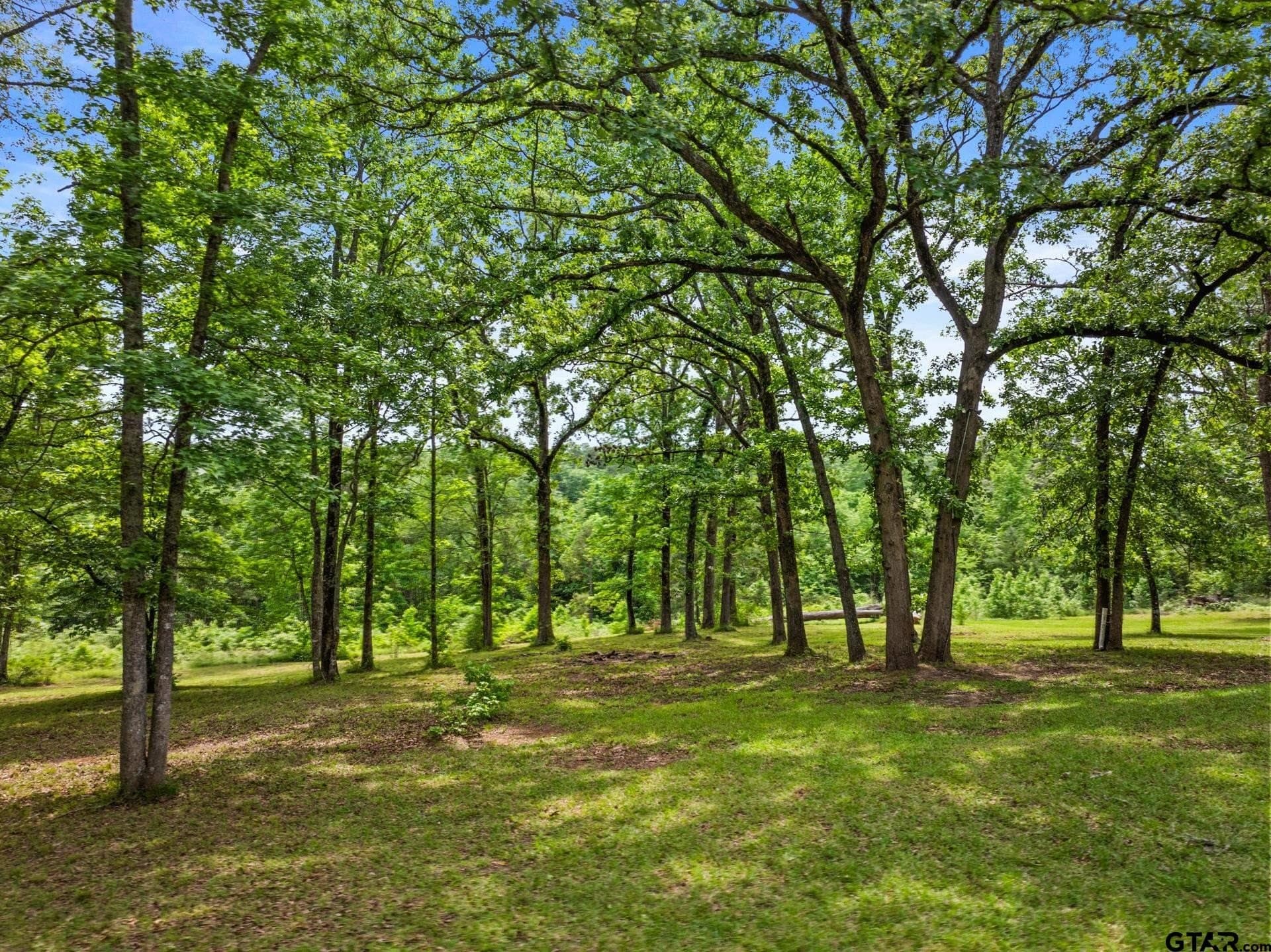28.96 acres in Wood County - photo 35
