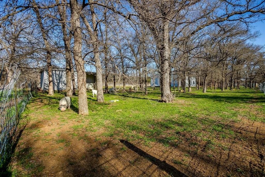 11.87 acres in Palo Pinto County - photo 38