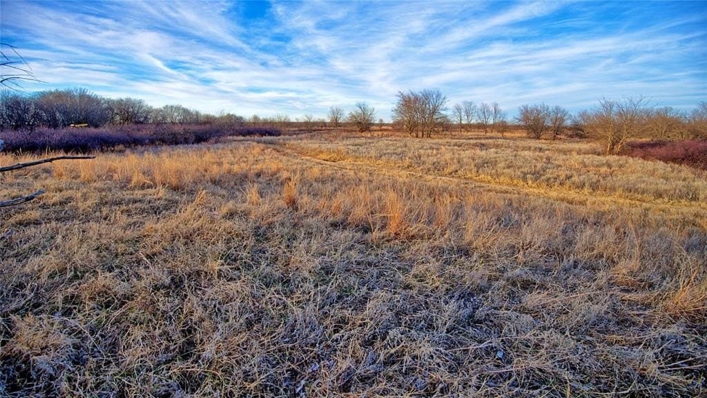 479.12 acres in Montague County - photo 21