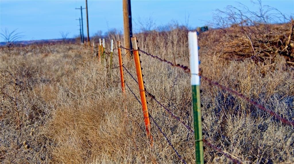 479.12 acres in Montague County - photo 2