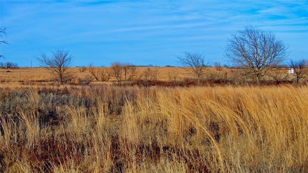 479.12 acres in Montague County - photo 22