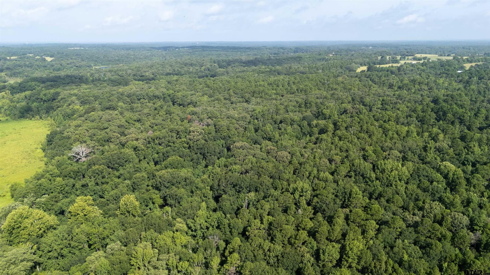 88 acres in Wood County - photo 5