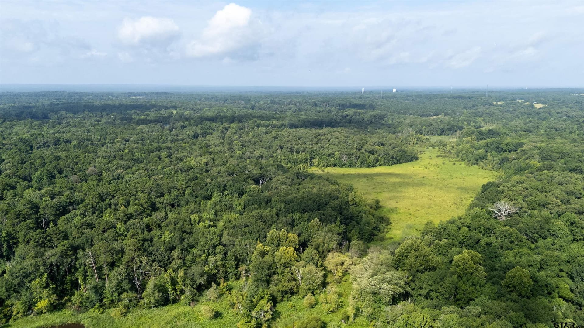 88 acres in Wood County - photo 3