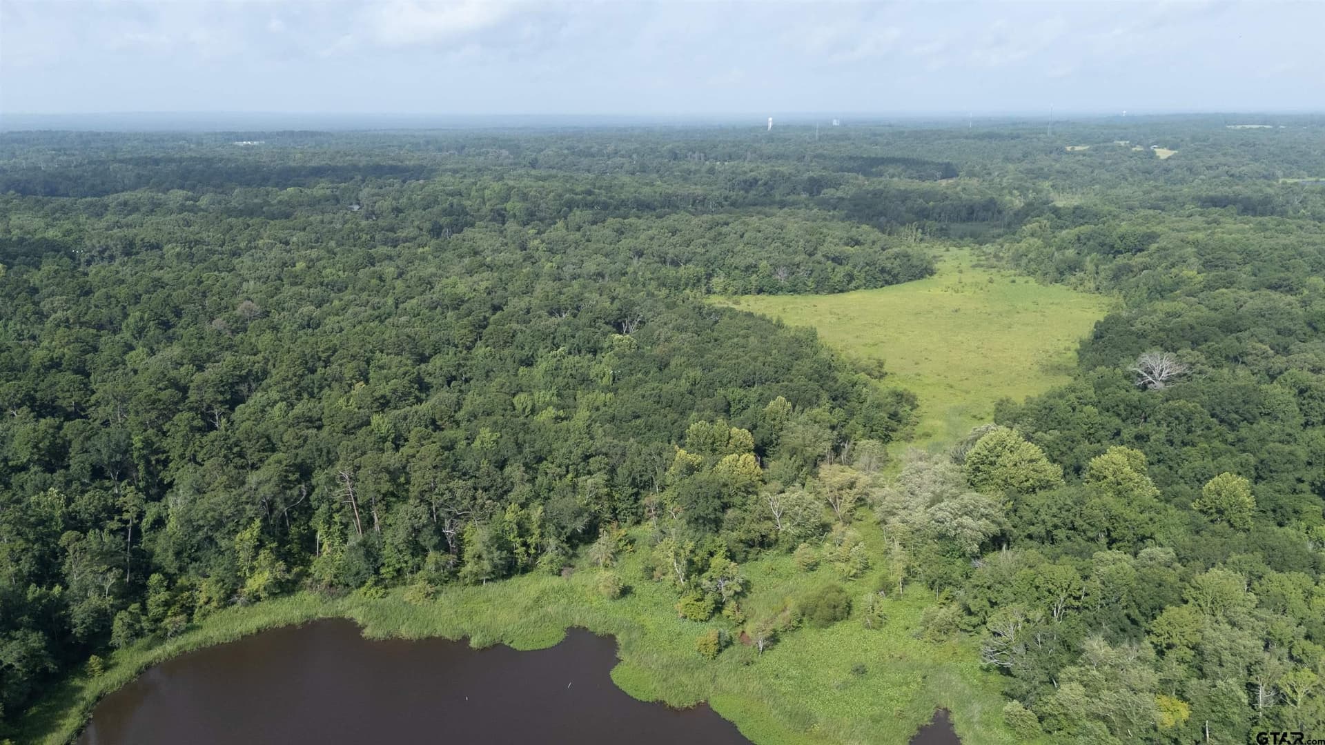 88 acres in Wood County - photo 4