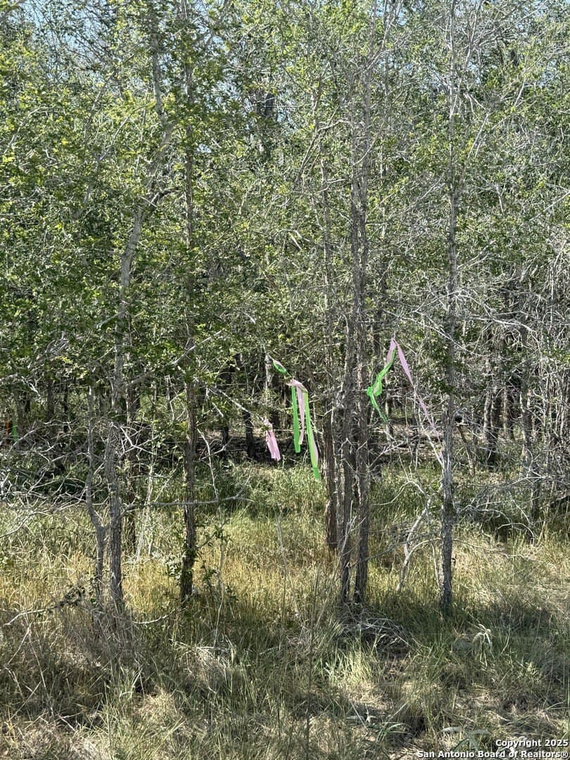 0.32 acres in Wilson County - photo 2