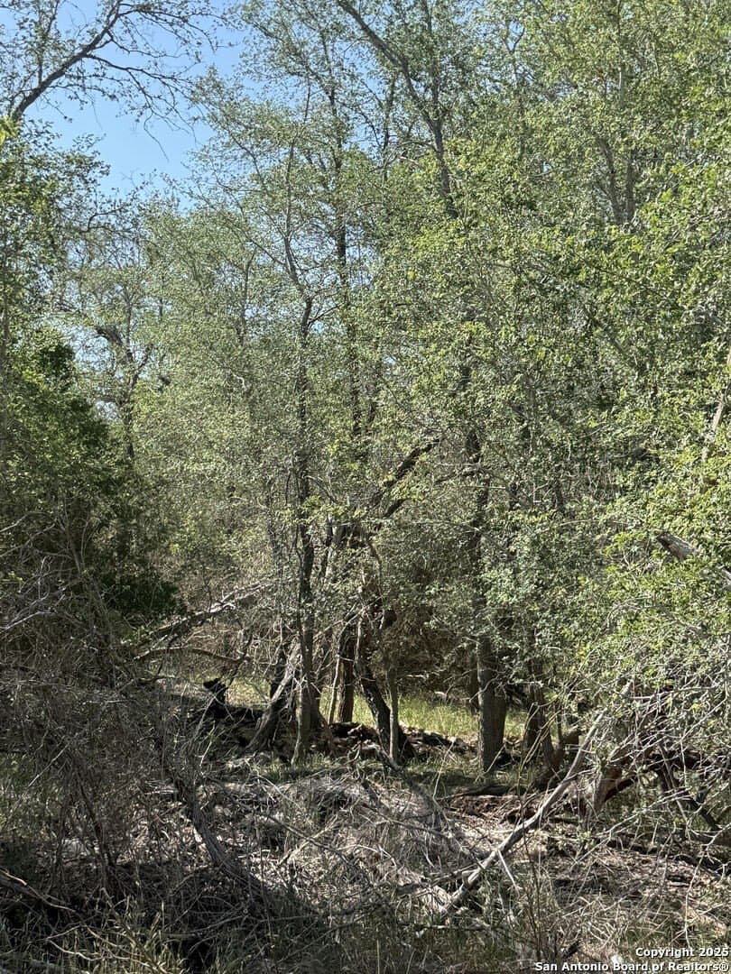 0.32 acres in Wilson County - photo 3