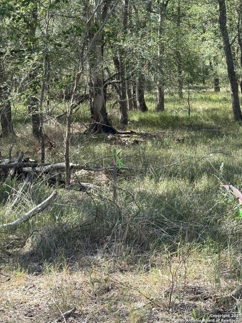 0.32 acres in Wilson County - photo 7