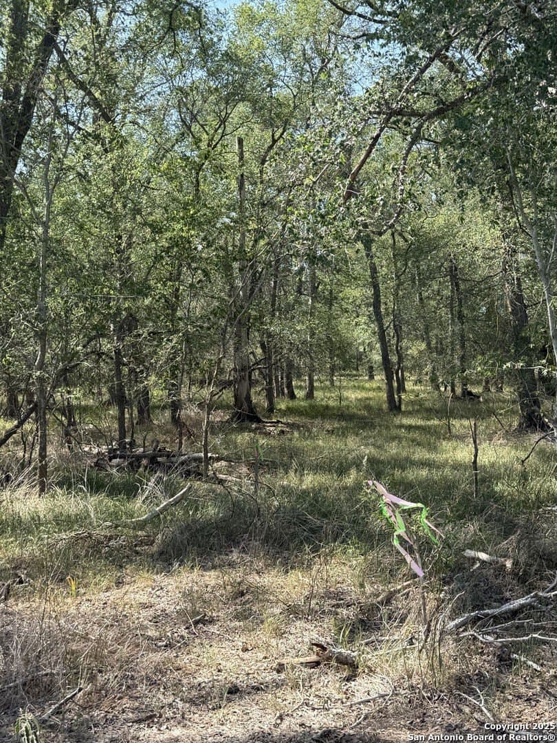 0.32 acres in Wilson County - photo 5