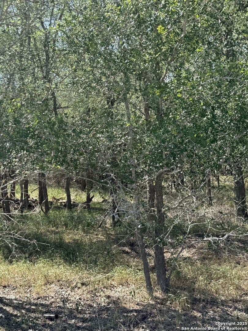 0.32 acres in Wilson County - photo 4