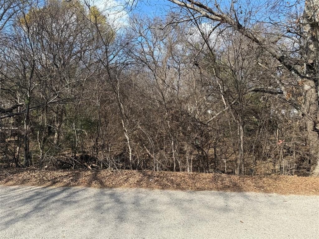 0.06 acres in Hood County - photo 6