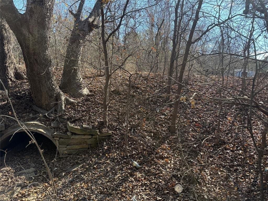 0.06 acres in Hood County - photo 5