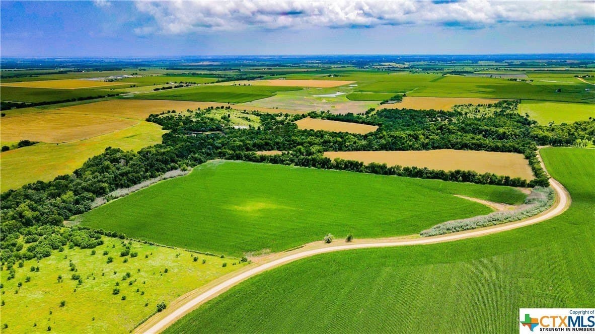 32.4 acres in Bell County - photo 16