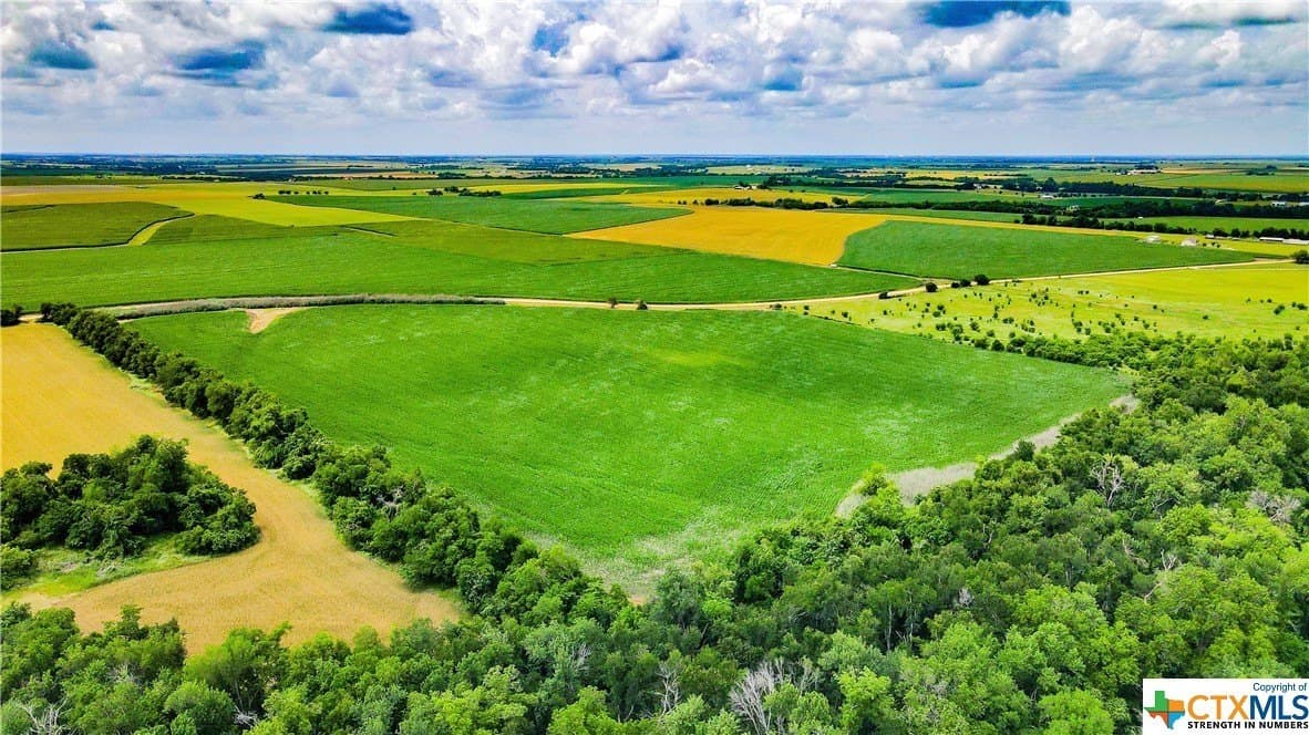 32.4 acres in Bell County - photo 8