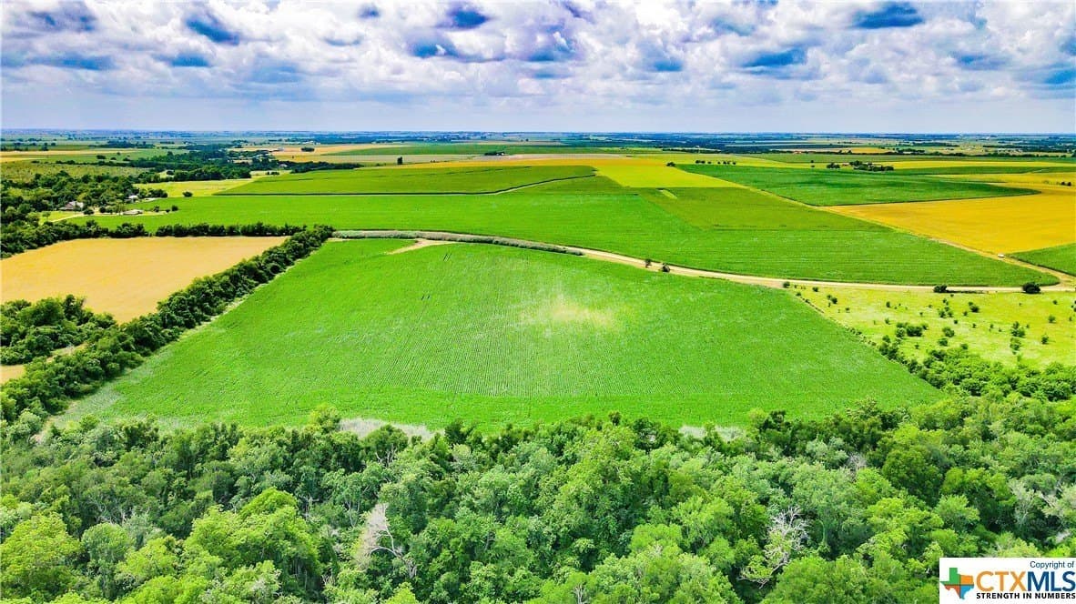 32.4 acres in Bell County - photo 7