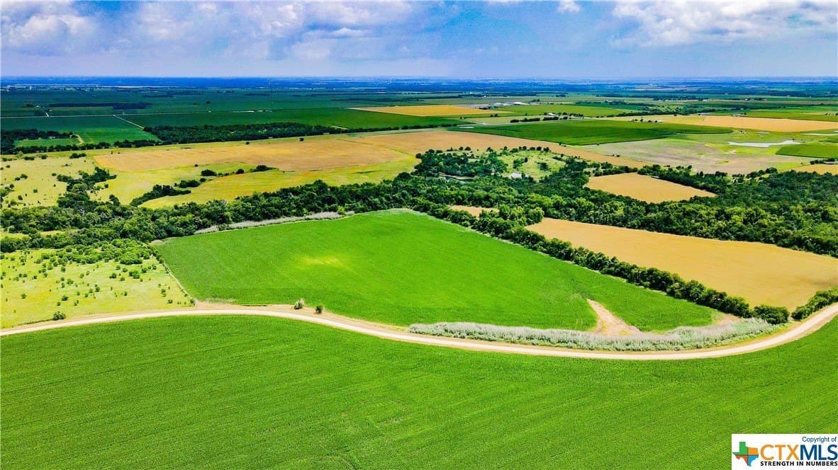 32.4 acres in Bell County - photo 15
