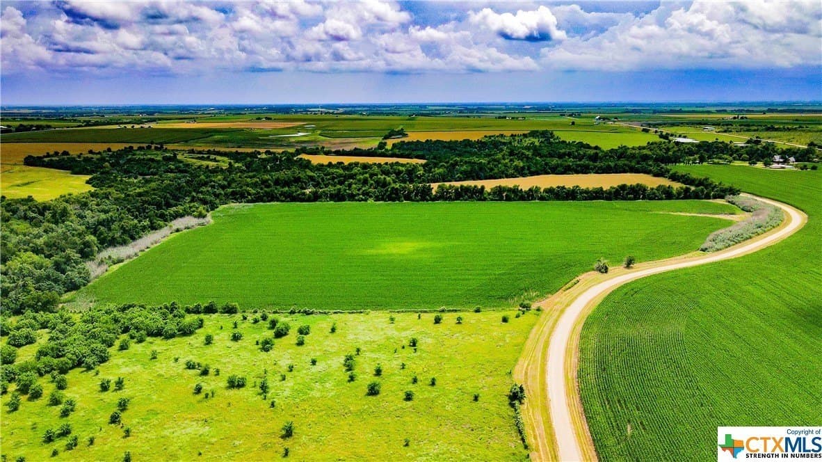 32.4 acres in Bell County - photo 5