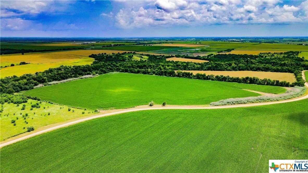 32.4 acres in Bell County - photo 4