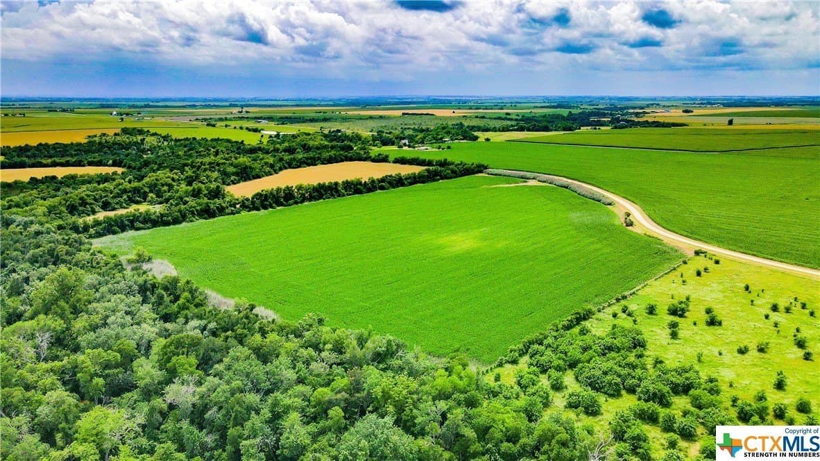 32.4 acres in Bell County - photo 6