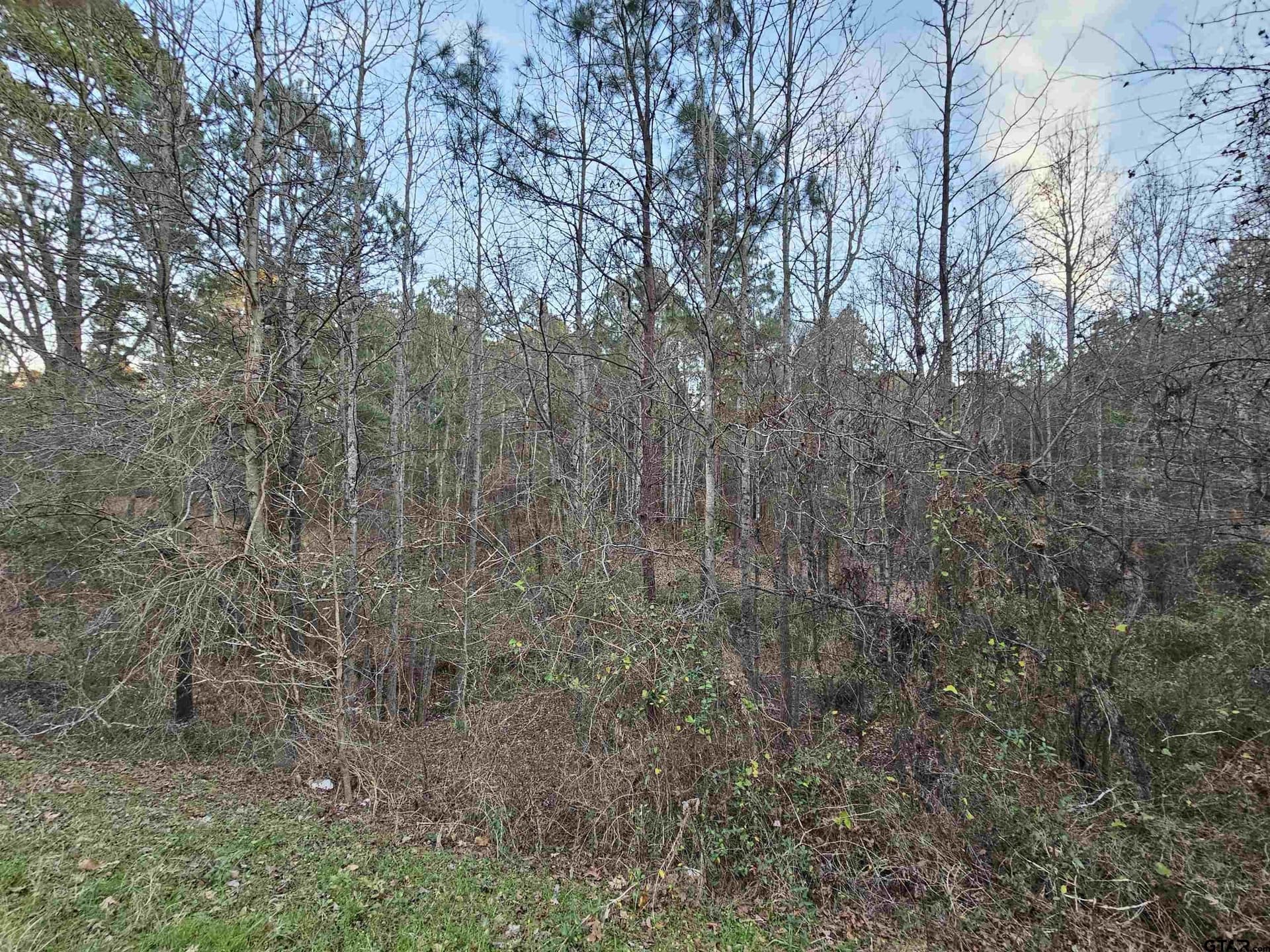 2 acres in Upshur County - photo 6